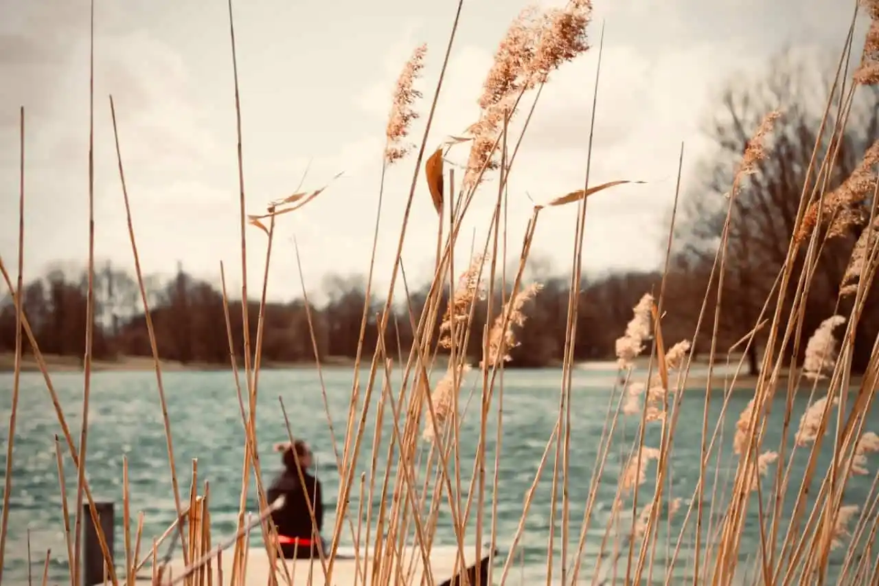 Lymewarrior in der Natur am See